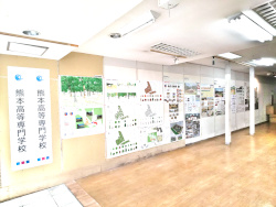 八代市本町アーケードの土曜市で建築社会デザイン工学科の展示