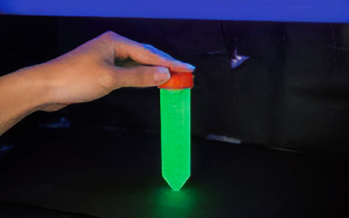 蛍光タンパクの抽出